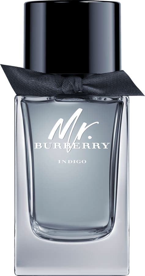 mr. burberry indigo eau de toilette 100ml